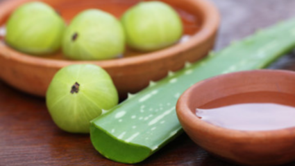 आवळा आणि कोरफड रस करेल शुगर कमी 