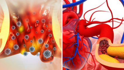 हृदयाच्या आरोग्यावरही होतो Constipation चा परिणाम? आतड्यांवर सतत ताण आल्याने रक्तदाबात होते वाढ, जाणून घ्या