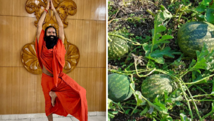 500 वरून डायरेक्ट शुगर येईल 100 च्या आसपास, बाबा रामदेवांचे घरगुती उपाय ठरतील रामबाण, ‘हे’ एकच फळ करेल कमाल