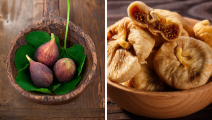 Weight Loss पासून इम्युनिटी वाढवेपर्यंत अंजीर ठरते ‘रामबाण’, आरोग्यासाठी फायदे