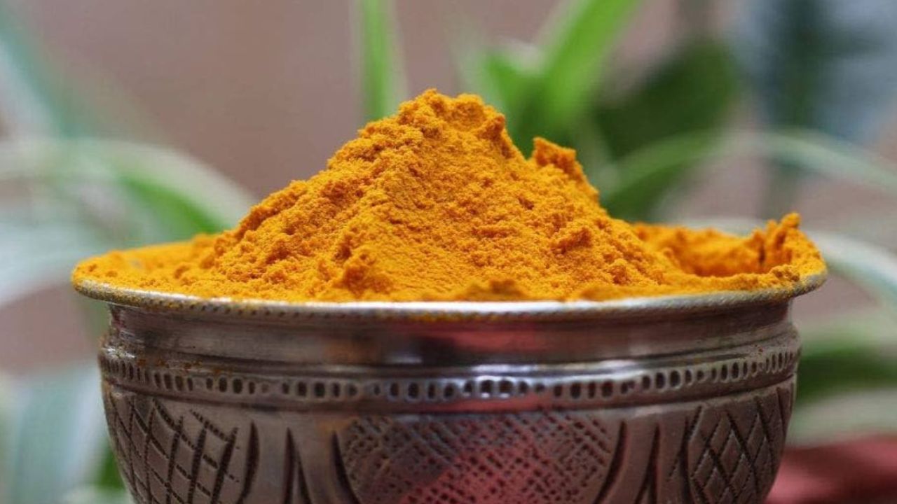 हळद : हळद जंतू नाशक असून आयुर्देवात हळदीला मोठं महत्त्व आहे. रोगप्रतिकारक शक्ती वाढण्यासाठी हळदीचं सेवन गुणकारी ठरतं. रोज सकाळी हळदीचं दूध प्यायल्यास अनेक आजार दूर होतात. 