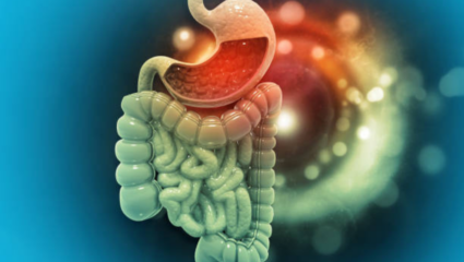 तुमच्या चुकीच्या सवयींमुळेच आतड्यात सडते घाण, आतल्याआत खराब होते पचनतंत्र