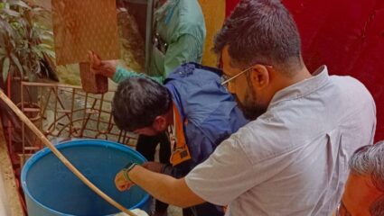 कल्याण-डोंबिवली महापालिका हद्दीत तरुणाचा डेंग्यूने मृत्यू, KDMC अतिरिक्त आयुक्तांची अ प्रभाग परिसरात पाहणी