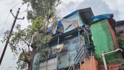 Kalyan News : ‘झाड घरावर कलले, वीज पुरवठा खंडीत करा’, तक्रारदार महिलेसह वीज वितरण कंपनीच्या अधिकाऱ्याचे उद्धट वर्तन