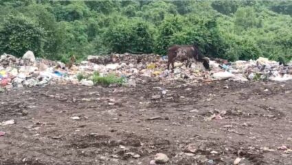 Raigad News : डम्पिंग ग्राऊंडचे स्थलांतर होणार तरी कधी? तळा शहर वासियांचा प्रशासनाला एकच सवाल