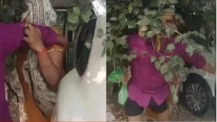 BJP Leader Viral Video: स्मशानभूमीत रंगली रासलीला; भाजप नेता राहुल वाल्मिकीचा महिलेसोबतचा आक्षेपार्ह व्हिडिओ व्हायरल