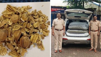 मोखाडा पोलिसांनी पकडली अफूने भरलेली क्रेटा; १५ लाखांहून अधिक किंमतीचा मुद्देमाल जप्त