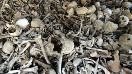 ‘भुतांचे बेट’ पावलापावलावर फक्त हॉरर अनुभव! येथे जाल तुमच्या मर्जीने पण परत येणे ‘त्यांच्या’ हातात