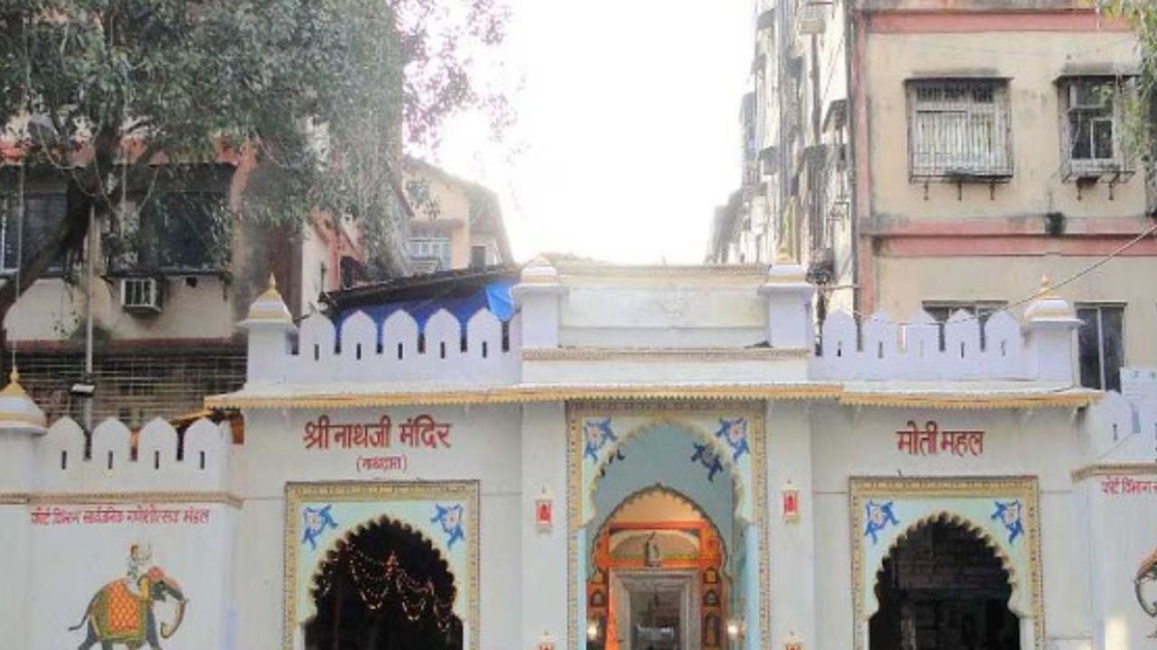 श्री नाथजी मंदिर , राजस्थान: काळ्या कातळातील ही मूर्ती गोवर्धनधारी कृष्णाचा अवतार आहे. या मंदिराची स्थापना 17 व्या शतकात झाल्याची सांगितलं जातं.भगवान विष्णू हे राजस्थानमध्ये 'श्री नाथजी' या अवतारात प्रकट झाले होते. 
