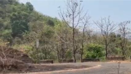 Sindhudurg : घोटगे-सोनवडे घाट लवकरच मार्गी लागणार, निलेश राणे यांची माहिती