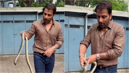 सोनू सूदच्या सोसायटीत सापडला साप, अभिनेत्याने केले असे काही जे पाहून चाहते चकीत; म्हणाले ‘खतरों के खिलाडी’