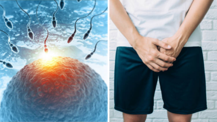 बाळाला जन्म देण्यासाठी पुरुषांचा Sperm Count किती पाहिजे, कशी करावी तपासणी