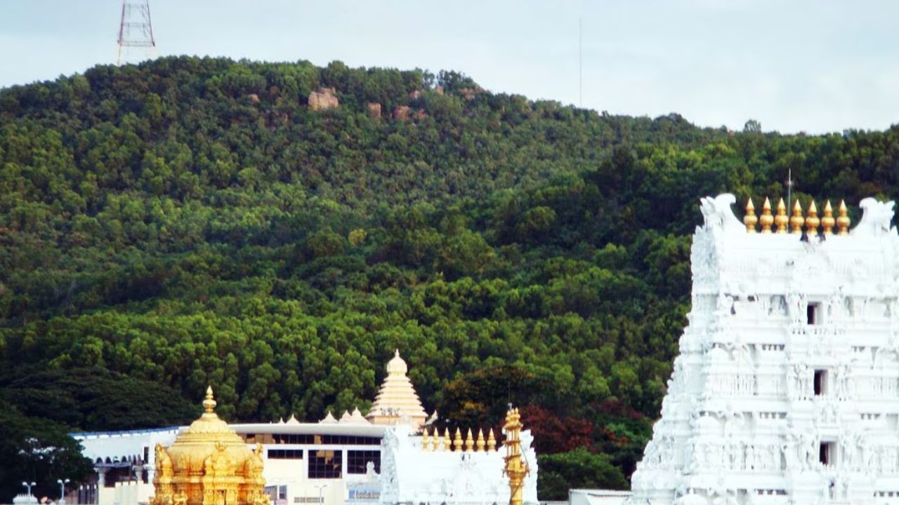 लक्ष्मीरामन स्वामी मंदिर, म्हैसूर: हातात चक्र व शंख घेऊन उभी असेली ही मूर्ती सुमारे 4 फूट उंच आहे .हे मंदिर म्हैसूरमधील प्राचीन वैष्णव स्थानांपैकी पहिलं मानलं जातं .स्थापत्य, ऐतिहासिक-महाभारतीकथा आणि वाडेयर राज्याशी घट्ट संबंध असल्य़ाच्या खुणा येथील स्थापत्यशैलीत दिसून येतात. श्री लक्ष्मीरामन स्वामी मंदिर हे म्हैसूरच्या वैभवशाली इतिहासातील वारसा आहे. 