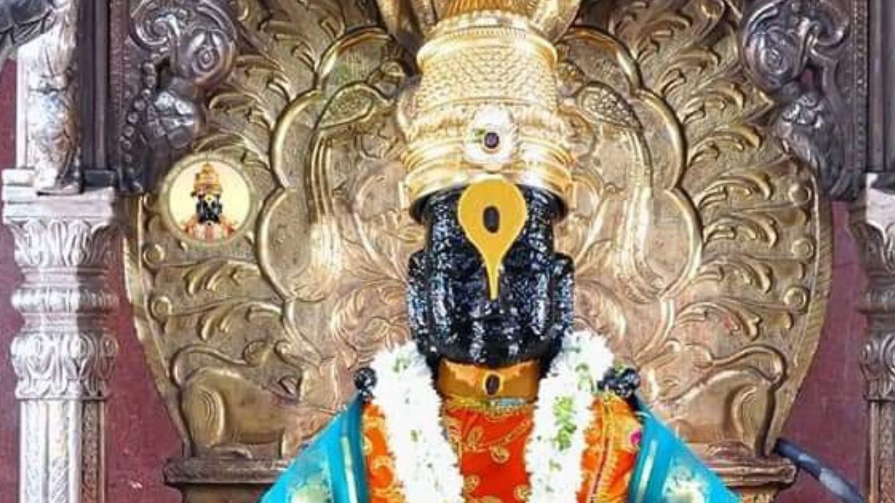 शेषनाग हा विष्णूंच्या कायमच बरोबर असायचा. हा शेषनाग विष्णूंना त्याचा स्वामी मानत असे. 