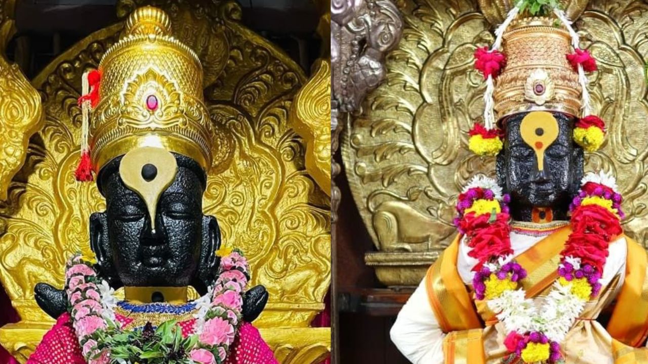 या अशा रितीने मूळ अवतारात विष्णूंच्या बरोबर असलेल्या शेषनागाच्या भक्तीप्रति विठ्ठल रुपाने विष्णूंनी या शेषनागाला मस्तकी धारण केलं आहे. 