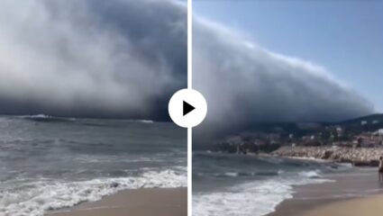 अबब! समुद्रात नाही तर अवकाशात दिसून आली ढगांची लाट, अद्भुत दृश्यांनी सर्वच हादरले; तुम्ही पाहिलात का Viral Video