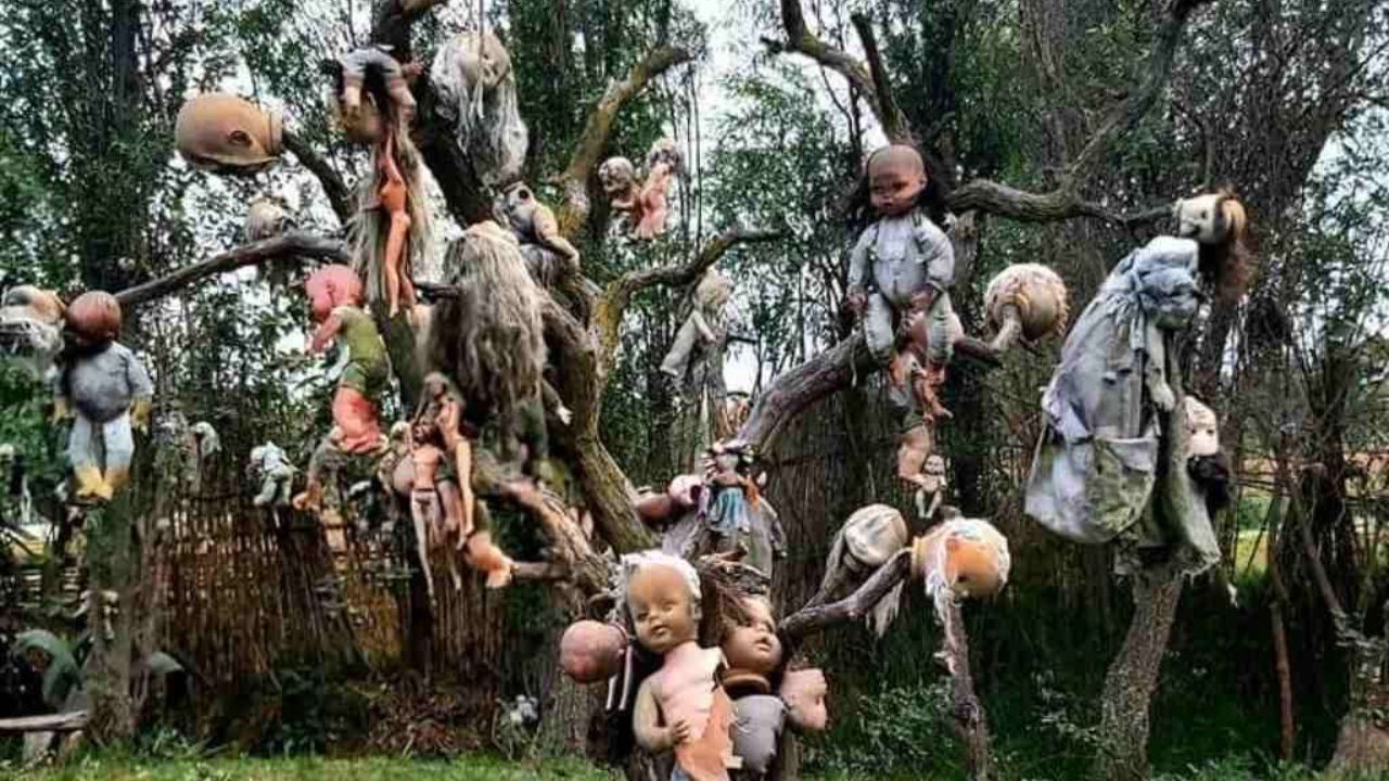 त्याने सांगितले की त्याने मृत मुलीला रडताना ऐकले आणि तिला शांत करण्यासाठी, तो आणखी बाहुल्या लटकवत राहिला. त्याला असा विश्वास होता की त्या तिच्या भूताला दूर करतील. बुडलेल्या मुलीची कोणतीही नोंद नसली तरी, लोकांना असा संशय आहे की डॉन ज्युलियनने काल्पनिक कहाणी रचली असेल किंवा त्याला कोणीतरी पछाडले असेल. यामागील सत्य मात्र नक्की काय आहे ते अद्याप उलगडले नाही 
