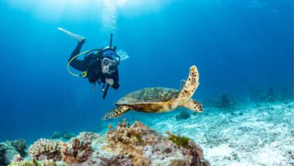 समुद्राच्या आतील जग पाहिलं आहे का? या ठिकाणी घेता येईल Scuba Diving चा उत्कृष्ट अनुभव