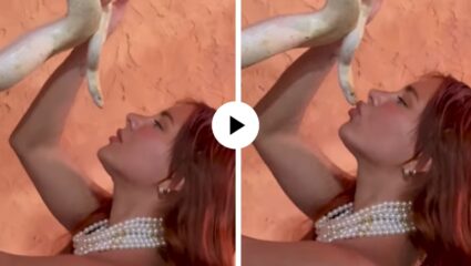 आराराsss खतरनाक! सुंदरीचा जीव माणसात लागेना; सापाला जवळ घेत केलं Kiss… विषारी प्राणीही गेला सदम्यात; Video Viral