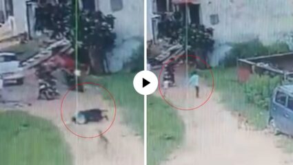 भयावह! श्वानाचा घराबाहेर खेळणाऱ्या चिमुकल्यावर हल्ला; आधी जमिनीवर पाडलं अन् मग लचके…, Video Viral