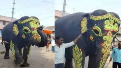 महादेवीबरोबरच आणखी तीन मठाधीपतींना नोटीस; कारण नेमकं काय?