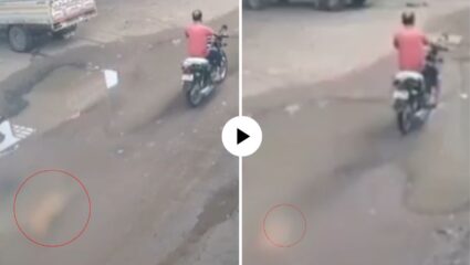 आधी श्वानाला बेदम मारहाण मग बाईकला बांधून …; अहमदाबामधील व्यक्तीचे संतापजनक कृत्य, Video Viral