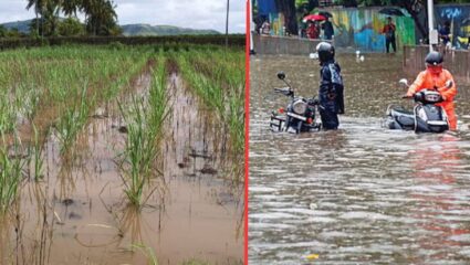 राज्यात ओला दुष्काळ जाहीर करा अन्  विशेष अधिवेशन घ्या …राष्ट्रवादी शरद पवार गटाची मागणी