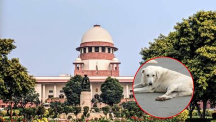 Delhi Stray Dogs: दिल्लीत भटक्या कुत्र्यांवरील बंदी उठणार? CJI गवई म्हणाले, “मी याबाबत…”