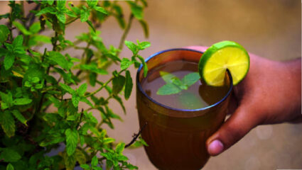 Health Tips: पावसाळ्यात दुधाच्या चहाऐवजी ट्राय करा Pudina Tea; आरोग्याला मिळतील ‘हे’ चमत्कारिक फायदे