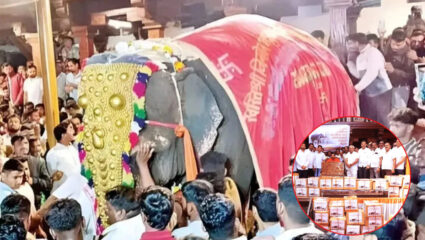 Mahadevi Elephant: ‘माधुरी’ला परत आणण्यासाठी कोल्हापूरकर सरसावले; ‘ही’ मोहीम राबवत थेट….