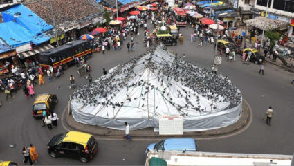 मोठी बातमी! ‘सार्वजनिक आरोग्य महत्वाचं’; कबुतरखान्यावर तूर्तास बंदीच, हायकोर्टाचा निर्णय