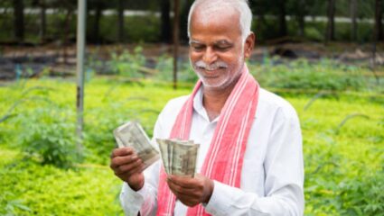 PM Fasal Bima Yojana चे पैसे मिळाले की नाही, कसे तपासावे? सोपी पद्धत