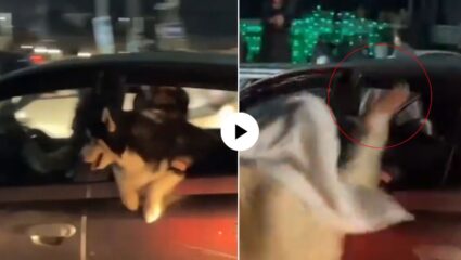 आधी थप्पड मग मारली बाटली…; पाकिस्तानमध्ये श्वानासोबत अमानवीय कृत्य, VIDEO VIRAL