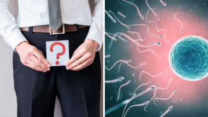 Sperm Count: पुरुषांसाठी धोकादायक ठरतेय अल्ट्रा-प्रोसेस्ड फूड, धाडकन कमी होतात शुक्राणू; अभ्यासात धक्कादायक खुलासा