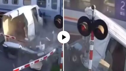 एक चूक अन्…! घाईने व्हॅन घेऊन पठ्ठ्या रेल्वे क्रॉसिंगवर घुसला पुढच्याच क्षणी…; भयावह अपघाताचा VIDEO व्हायरल