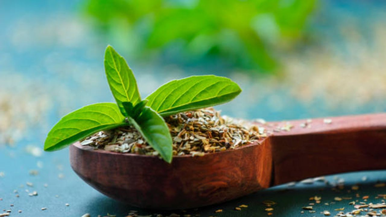  तुळशीमध्ये असलेले ऍडॅप्टोजेन नावाचा घटक शरीरात वाढलेला मानसिक तणाव कमी करण्यासाठी मदत करतो. यामुळे चिंता आणि नैराश्य कमी होते आणि तुम्ही कायमच आनंदी दिसू लागता. 