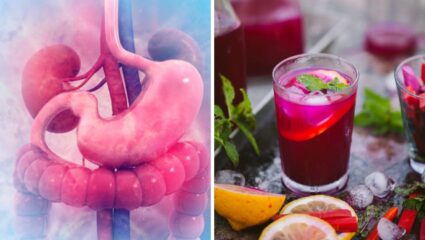 आतड्या आणि पोटांच्या समस्यांपासून मिळेल कायमची सुटका! ‘हे’ आयुर्वेदिक आंबवलेले पदार्थ शरीर करतील स्वच्छ