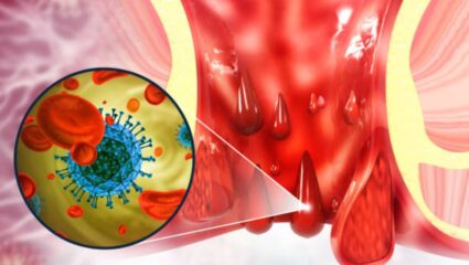 आहारात चुकूनही करू नका ‘या’ भाज्यांचे सेवन! मूळव्याधीचा होईल गंभीर आजार, ओढावेल ऑपरेशनची वेळ