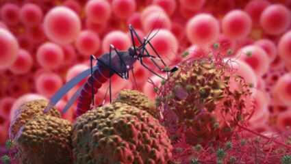 Malaria झाल्यानंतर योग्य वेळी उपचार न करणे ठरेल धोक्याचे! जाणून घ्या मलेरिया झाल्यानंतर शरीरात दिसणारी लक्षणे आणि उपाय