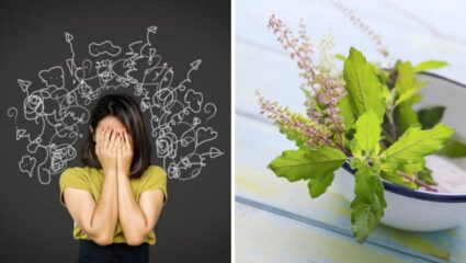 मानसिक तणावापासून कायमची मिळेल सुटका! ‘या’ पद्धतीने करा तुळशीच्या पानांचा वापर, राहाल नेहमीच आनंदी