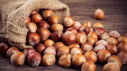 Hazelnuts खाल्यामुळे डोक्यापासून ते अगदी पायांपर्यंत संपूर्ण शरीराला होतील आश्चर्यकारक फायदे