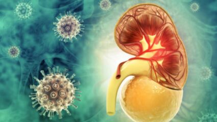 Kidney खराब झाल्यानंतर चेहऱ्यावर दिसून येतात ‘ही’ महाभयंकर लक्षणे, दुर्लक्ष केल्यास किडनी होईल कायमची निकामी