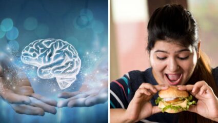 मेंदूच्या आरोग्यासाठी ‘हे’ पदार्थ ठरतात विषारी, रक्तपुरवठा थांबून उद्भवेल ब्रेन स्ट्रोक किंवा स्मृतीभंशची समस्या