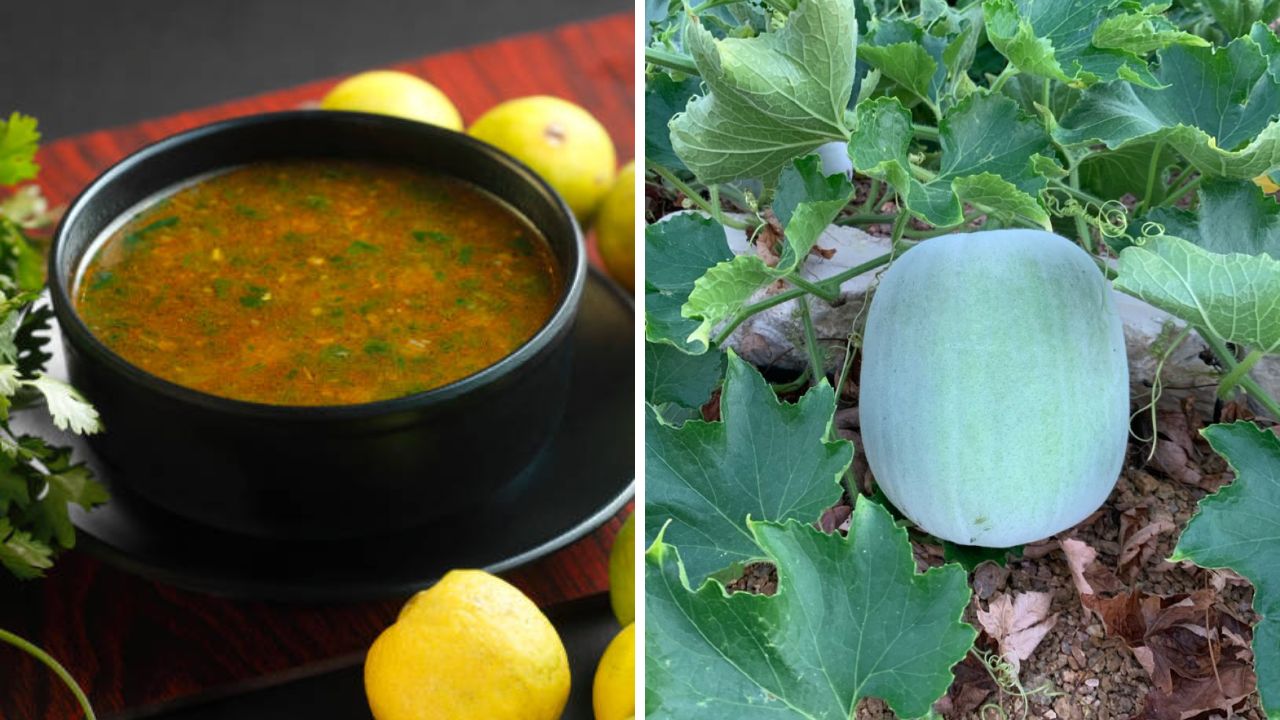 चेहऱ्यावरील चमक वाढवण्यासाठी नियमित प्या कोहळ्याचं सूप