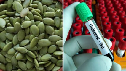 शरीरात वाढलेले कोलेस्ट्रॉल कमी करण्यासाठी नियमित करा भोपळ्याच्या बियांचे सेवन, शरीराला होतील इतरही फायदे