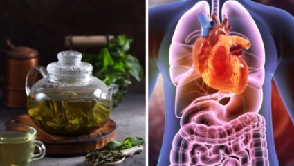 आयुर्वेदिक गुणधर्मांनी समृद्ध असलेली ग्रीन टी ‘या’ लोकांच्या आरोग्यासाठी घातक, अजिबात करू नका सेवन