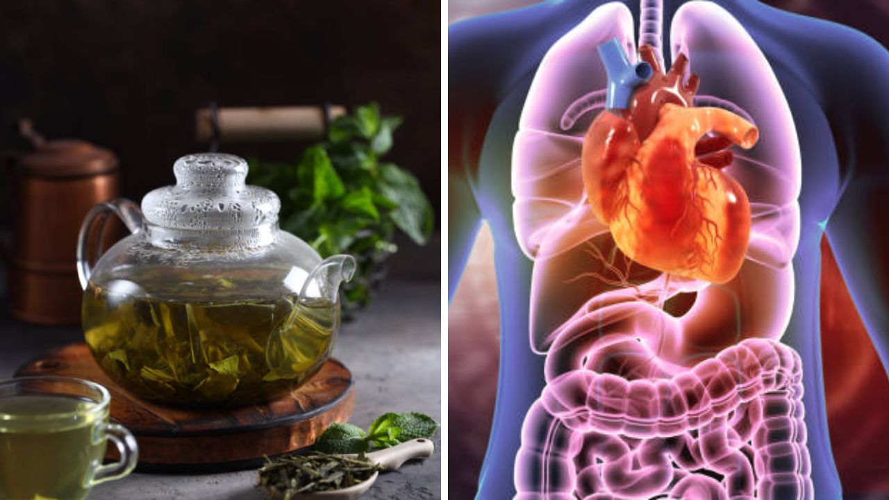 आयुर्वेदिक गुणधर्मांनी समृद्ध असलेली ग्रीन टी 'या' लोकांच्या आरोग्यासाठी घातक