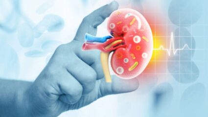 शरीरातील High Uric Acid कायमचे नष्ट करण्यासाठी आहारात करा ‘या’ ड्रायफ्रुट्सचे सेवन, सांध्यांमधील सूप होईल कमी