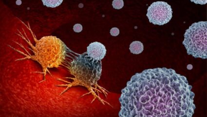 Cancer च्या पेशी होतील कायमच्या नष्ट! ‘हे’ उपाय केल्यास आयुष्यात कधीच होणार नाही कॅन्सर, कायमच राहाल निरोगी