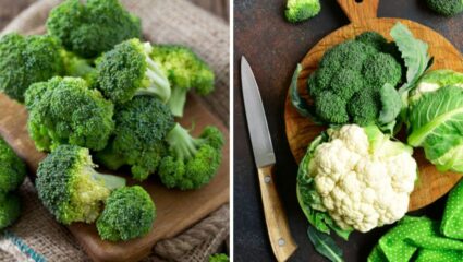 ‘या’ लोकांच्या आरोग्यासाठी Broccoli ठरेल हानिकारक, फायदे होण्याऐवजी शरीरावर होतील गंभीर परिणाम